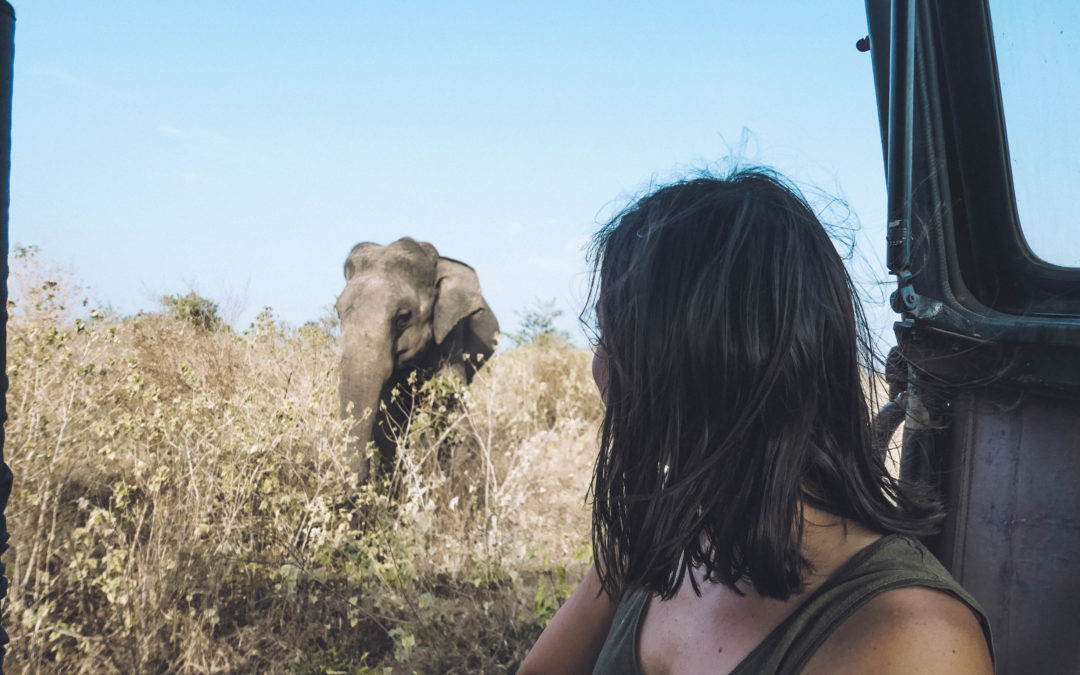 Sri lanka – Safari Udawalawe